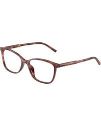 Dolce & Gabbana - Dg3425 3444 Optical Frames Acetate Butterfly Normal - Lyst