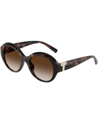 Tiffany & Co. - Tf4227Bu 80153B Sunglasses Injected Round Normal Shaded - Lyst