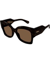 Chloé - Ch0252S 002 Sunglasses Acetate Butterfly - Lyst
