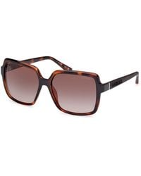 Guess - Gu00157 52F Sunglasses Injected Marrone Squared Normal Sfumato - Lyst