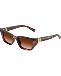 Dolce & Gabbana - Dg4532 322274 Sunglasses Acetate Cat Eye Normal Nuanced - Lyst