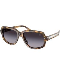 Ralph Lauren - Rl8238U 61788G Sunglasses Acetate Geometric Normal Nuanced - Lyst