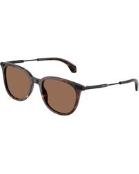 Moncler - Me6013 Korra 300273 Sunglasses Acetate Round Normal - Lyst