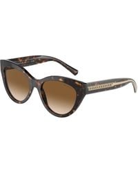 Tiffany & Co. - Tf4220 801551 Sunglasses Acetate Cat Eye Normal Shaded - Lyst