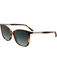Calvin Klein - Ck25504S 240 Sunglasses Bio-Inject Butterfly Normal - Lyst