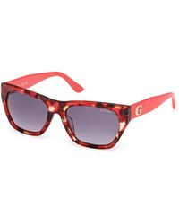 Guess - Gu00203-H 54B Sunglasses Acetate Geometric Normal - Lyst