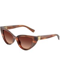 Dolce & Gabbana - Dg4497 322113 Sunglasses Acetate Cat Eye Normal Shaded - Lyst