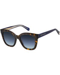 Tommy Hilfiger - Th 1884/S 086/Gb Sunglasses Acetate Cat Eye Shaded - Lyst