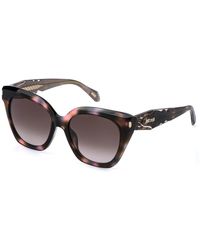 Just Cavalli - Sjc172 01Gq Sunglasses Acetate Butterfly Normal Nuanced - Lyst