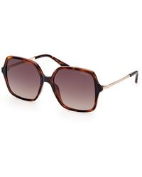 Guess - Gu7845 52F Sunglasses Injected Squared Normal Shaded - Lyst