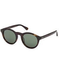Web - We0398 52N Sunglasses Acetate Round Normal - Lyst