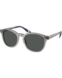 Polo Ralph Lauren - Ph4206 570487 Sunglasses Acetate Pantos Normal - Lyst