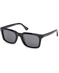 Web - We0388 01A Sunglasses Acetate Smoke Squared Normal - Lyst