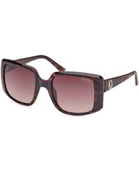 Guess - Gu00097 52F Sunglasses Injected Squared Normal Shaded - Lyst