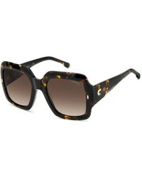 Carrera - 3004/S 086/Ha Sunglasses Acetate Squared Normal Shaded - Lyst