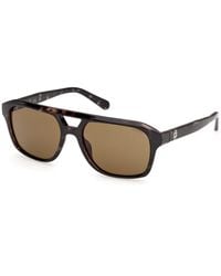 Guess - Gu00364 20E Sunglasses Injected Pilot Normal - Lyst