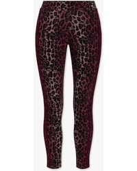 adidas Synthetic Recycled Polyester leggings in Red | Lyst Australia