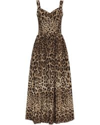 Dolce & Gabbana - Cotton Dress With Animal Print - Lyst