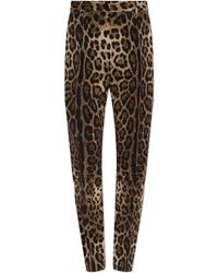 Dolce & Gabbana - Wool Trousers With Animal Motif - Lyst