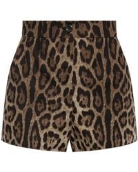 Dolce & Gabbana - Animal Print Shorts - Lyst