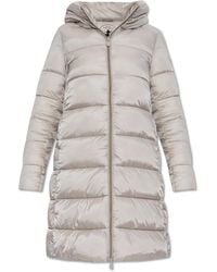 Save The Duck - Insulated Jacket "Lysa" - Lyst