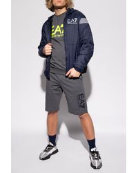 ea7 grey shorts
