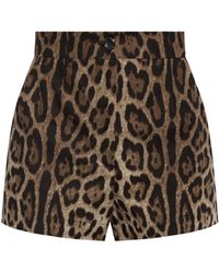 Dolce & Gabbana - Animal Print Shorts - Lyst