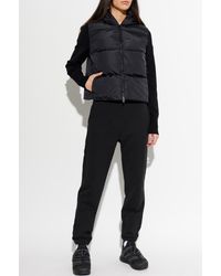 Lacoste - Sweatpants With Cuffs - Lyst