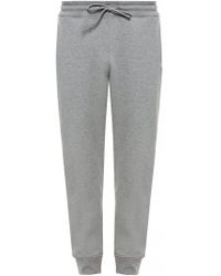 zebra print sweatpants