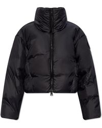 Canada Goose - ‘Spessa’ Cropped Down Jacket - Lyst