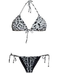 Dolce & Gabbana - Two-Piece Swimsuit With Animal Print - Lyst