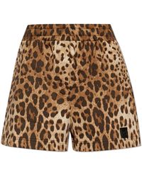 Dolce & Gabbana - Animal Print Shorts - Lyst