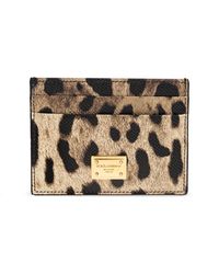 Dolce & Gabbana - Animal Motif Card Holder - Lyst