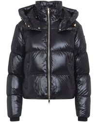 Moose Knuckles - Wintercoat - Lyst