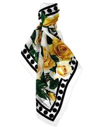 Dolce & Gabbana - 'Rose Gialle' Scarf - Lyst