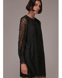 Whistles - Animal Lace Tie Detail Dress - Lyst