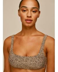Whistles - Mini Leopard Square Bikini Top - Lyst