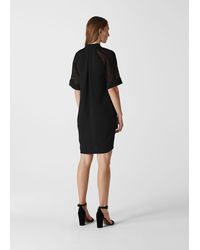 whistles montrose dress