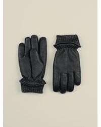 J.Lindeberg Mens Classic Leather Glove