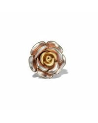 La Pluie Jewellery - Rosa Dorée Ring - Lyst