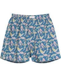 NoLoGo-chic - Paisley Print Boxers Boxer Short Cotton Deep Sea - Lyst