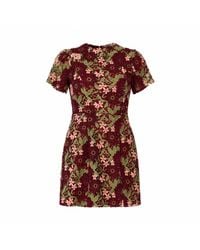Girl In Mind - Ami Corded Lace Tulip Sleeve Mini Dress Burgundy - Lyst