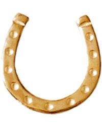 Lee Renee - Lucky Horseshoe Lapel Pin – - Lyst