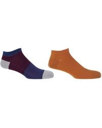 Peper Harow - Made in England - Oxford Stripe & Classic Burnt Trainer Socks Bundle - Lyst