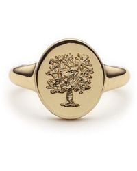 With Love Darling - Tree Of Life Signet Ring - Lyst