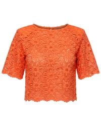 AGGI by HALEWSKI - Fibi Sun Lace Top Blouse - Lyst