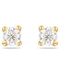 Arctic Fox & Co. - Topaz Stud Earrings - Lyst