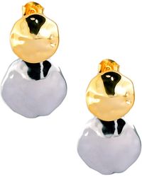 Zynnia Collective - Two Tone Disc Dangles - Lyst