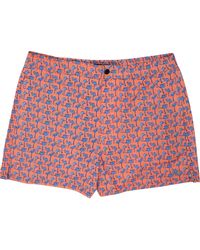 lords of harlech - Quack Flamingoes Coral - Lyst
