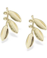 Maison De Gala - Leaf Branch Statement Stud Earrings - Lyst